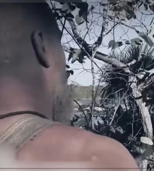 Poster phim Thử Thách Sinh Tồn 40 Ngày Trần Trụi Nơi Hoang Dã | Full Mùa 3